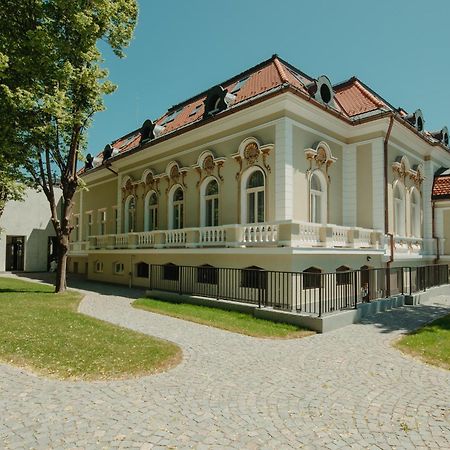 Boutique Hotel Cocosul De Aur Тиргу-Муреш Екстер'єр фото
