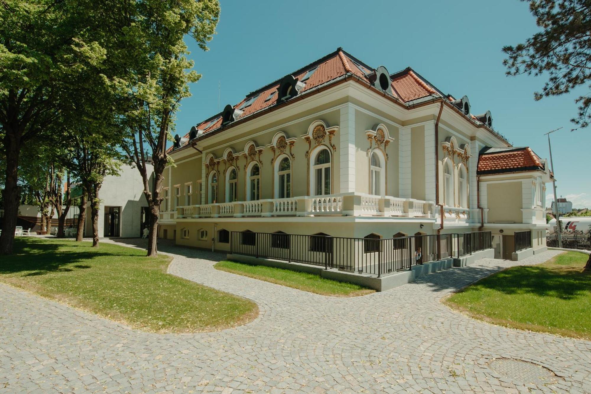 Boutique Hotel Cocosul De Aur Тиргу-Муреш Екстер'єр фото